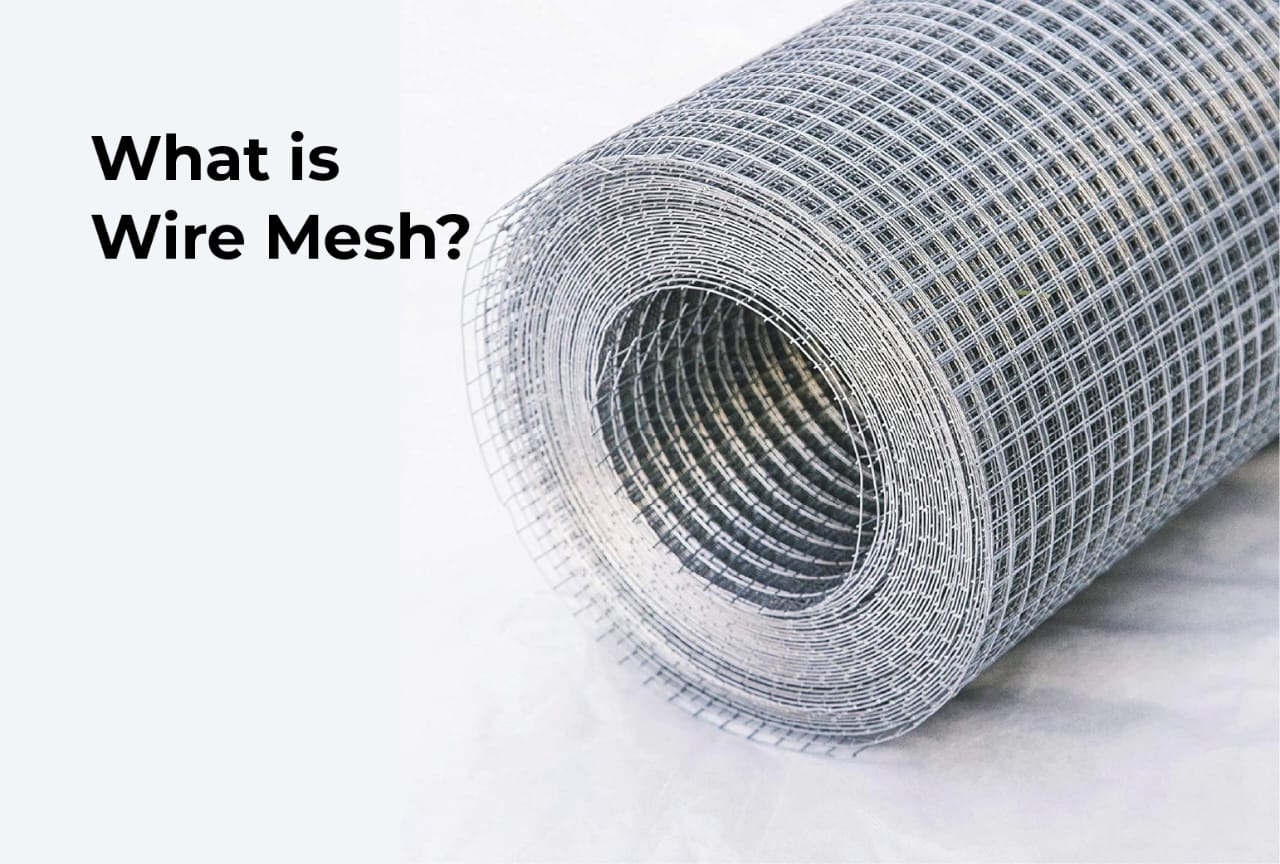 Blog Details Thumbnail